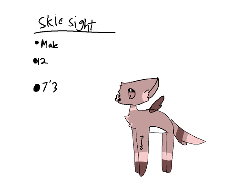 • skiesight •