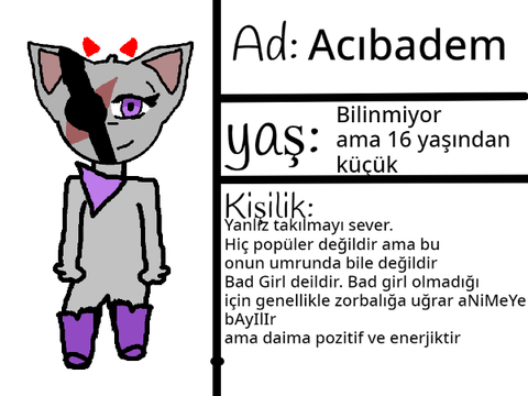 katılım form