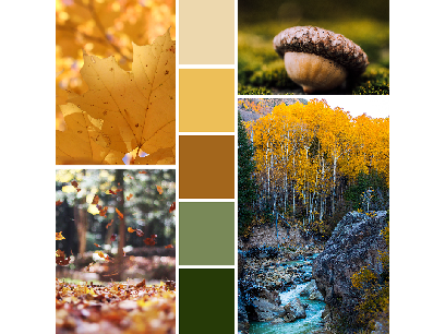 Some mood boards...