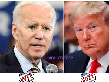 Joe Biden vs. Donald Trump remix