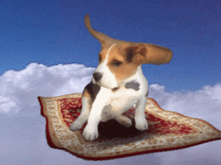 TEST (FOR GIFS)