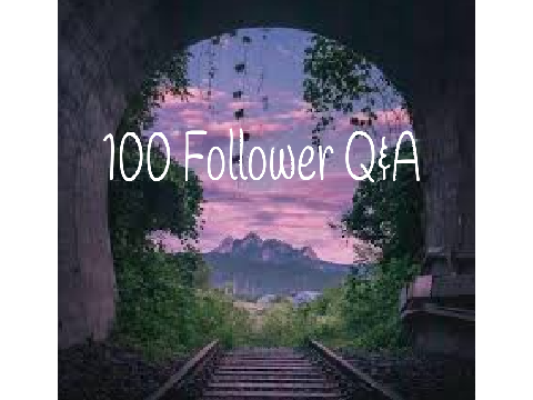 100 Follower Q&A!