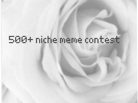 ✄ || 500+ Niche Meme contest 