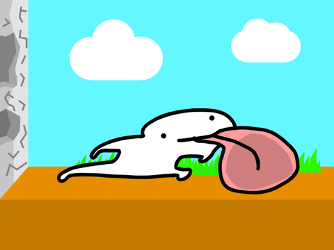 3d(아님)