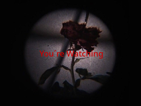 Intro