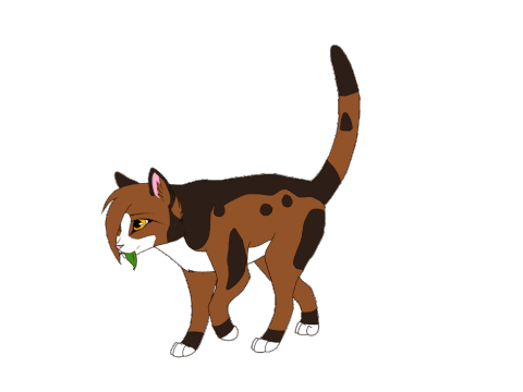 Spottedleaf