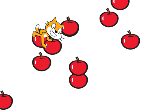 Cat Cat
