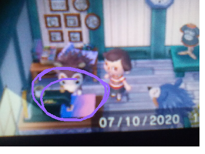 NINTENDO SAID GAY RIGHTSSS