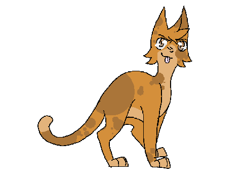 Kits ideas for Saplingbreeze and Puddledusk!