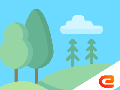 019 || Forest
