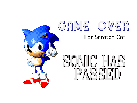 sanic wins