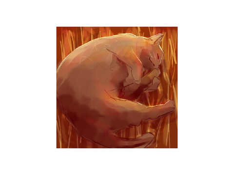 pfp for @bpara14