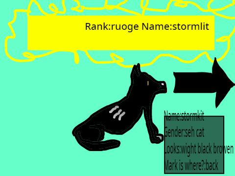 storm kit