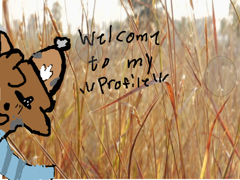 Welcome to my profile! 