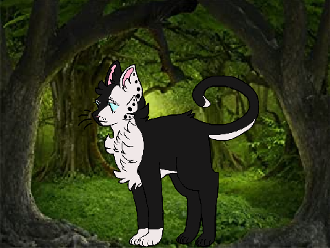 Lightpaw