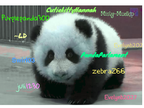 Sign if you are against PANDA POACHING! REMIX REMIX REMIX REMIX REMIX REMIX REMIX REMIX remix… remix