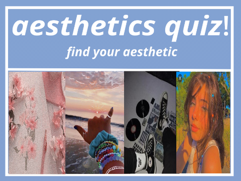 Aesthetics Quiz! Find your aesthetic! 