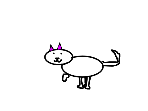 kitty
