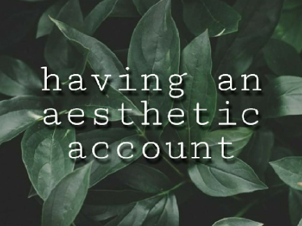 ☘ having an aesthetic account
