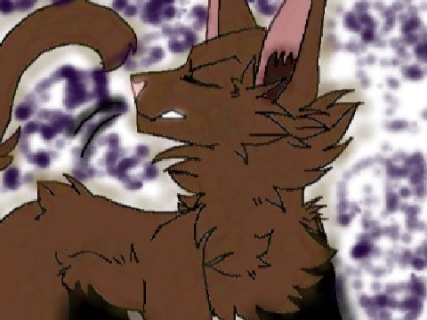 {My entry for:} No- CC 