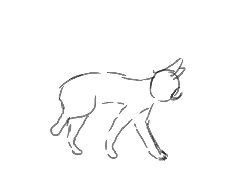 walk cycle sketch