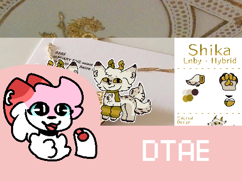 ♡ sʜɪᴋᴀ - ᴅᴛᴀᴇ ♡