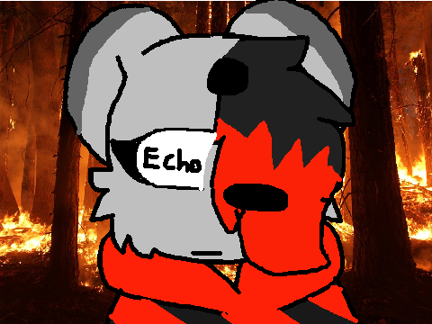 Echo || Meme WIP