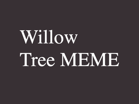 || Willow tree -MEME- Paul McCartney