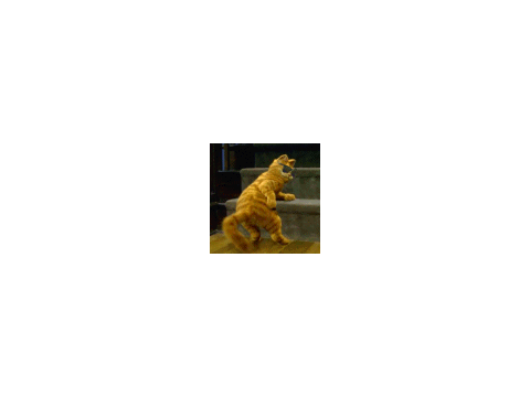 My Icon!