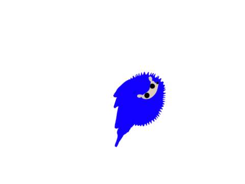 this is sonic