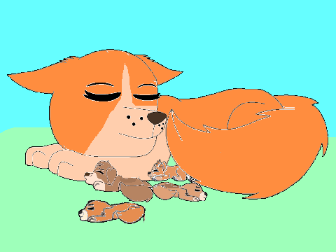 Dog's mum and siblings