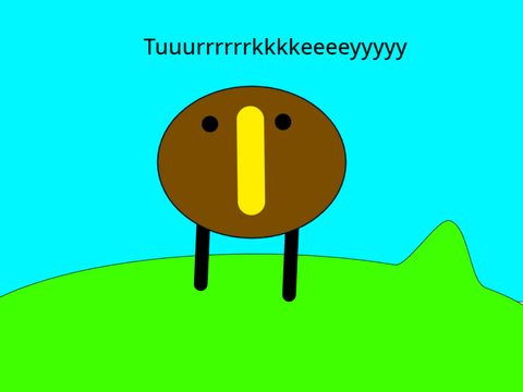 Tuuurrrrrrkkkkeeeeyyyyy