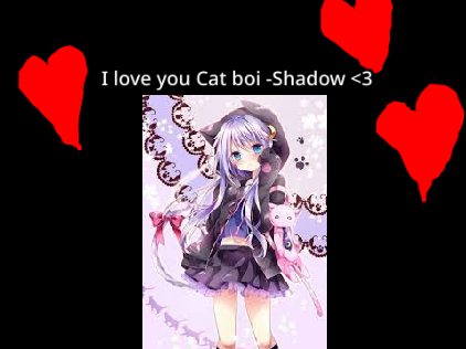 For cat Boi From Shadow!