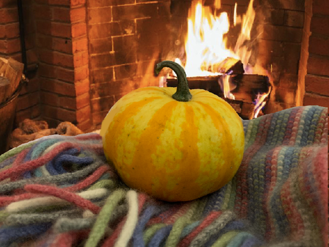 pumpkin children ❤️
