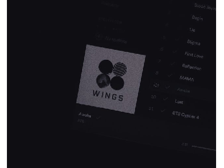ʷⁱⁿᵍˢ remix
