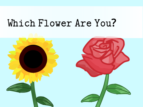 Flower Personality Quiz