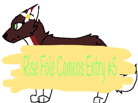 ʀɪꜱᴇ ° FOLE Cameos Entry #5