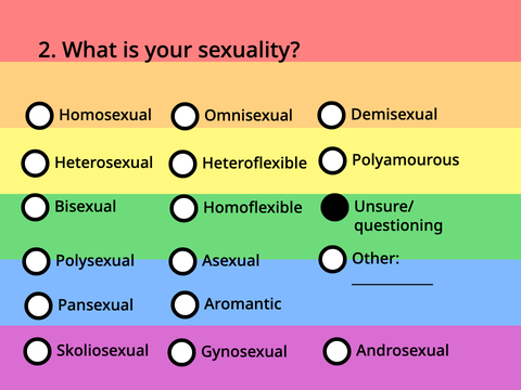 LGBTQ+ Survey remix