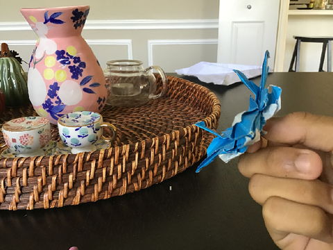 (Flies 115 feet) (1st try) Origami F22 by Jayson merril