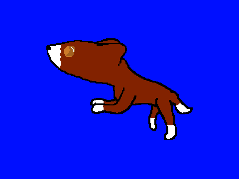 @Pipoca_the_bird's PFP