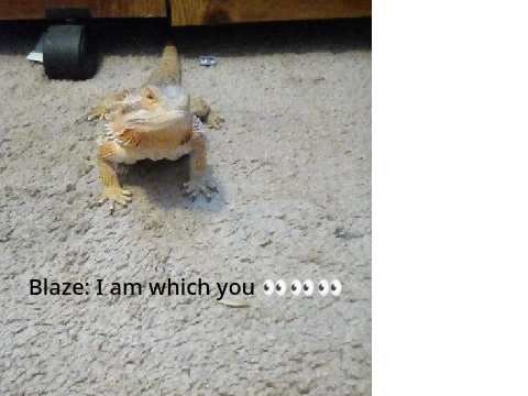 I am watching you