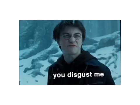 YOU DISGUST ME