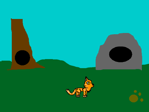 cats and cats