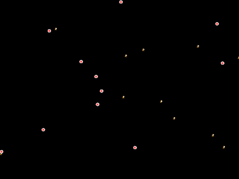Dots vs Cats