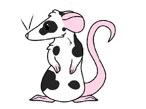 Rat for @SiimplyAlex