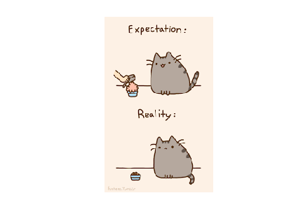 Expectation/Reality