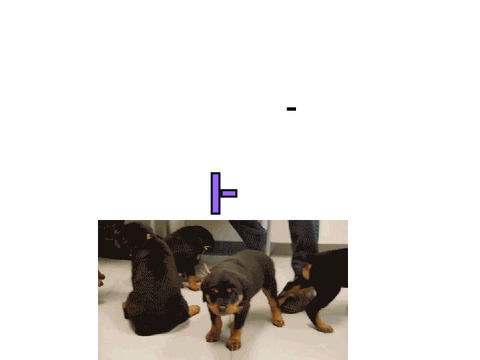 GIF maker tutorial                                                   #All #Tutorials