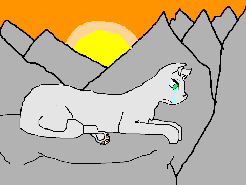 Mountain Cat Entry