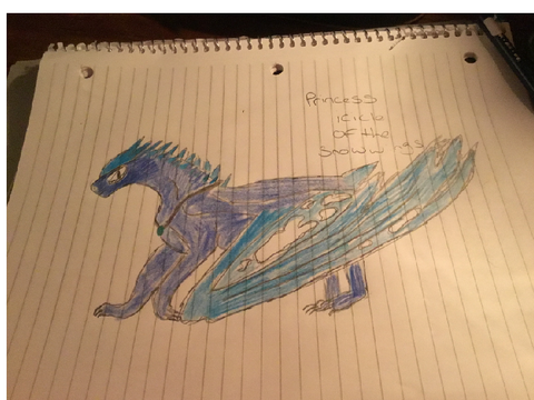 Art competition entry 