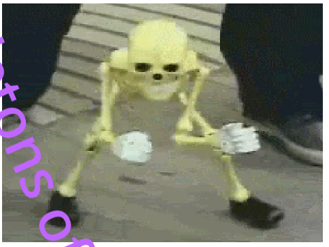 Kinda spooky scary skeletons